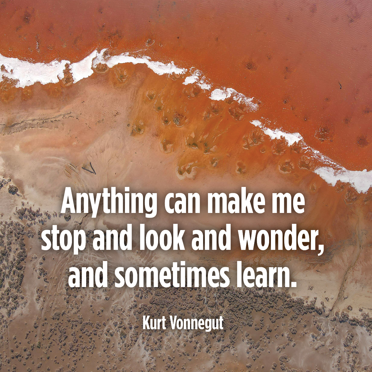 Anything can make me stop and look and wonder, and sometimes learn